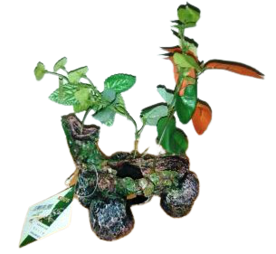 ADORNO ACUARIO RESINA TRONCO C/PLANTA SEDA SMALL 5"