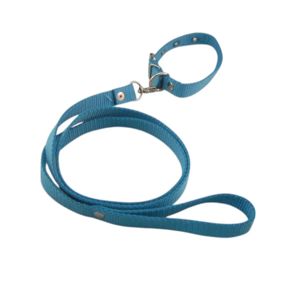COLLAR Y PASEADOR #16 AZUL ECONOMICO