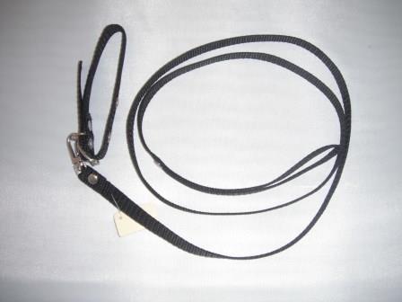 COLLAR Y PASEADOR #16 NEGRO ECONOMICO