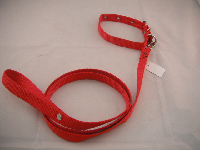 COLLAR Y PASEADOR #16 ROJO ECONOMICO