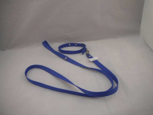 COLLAR Y PASEADOR #2 AZUL ECONOMICO