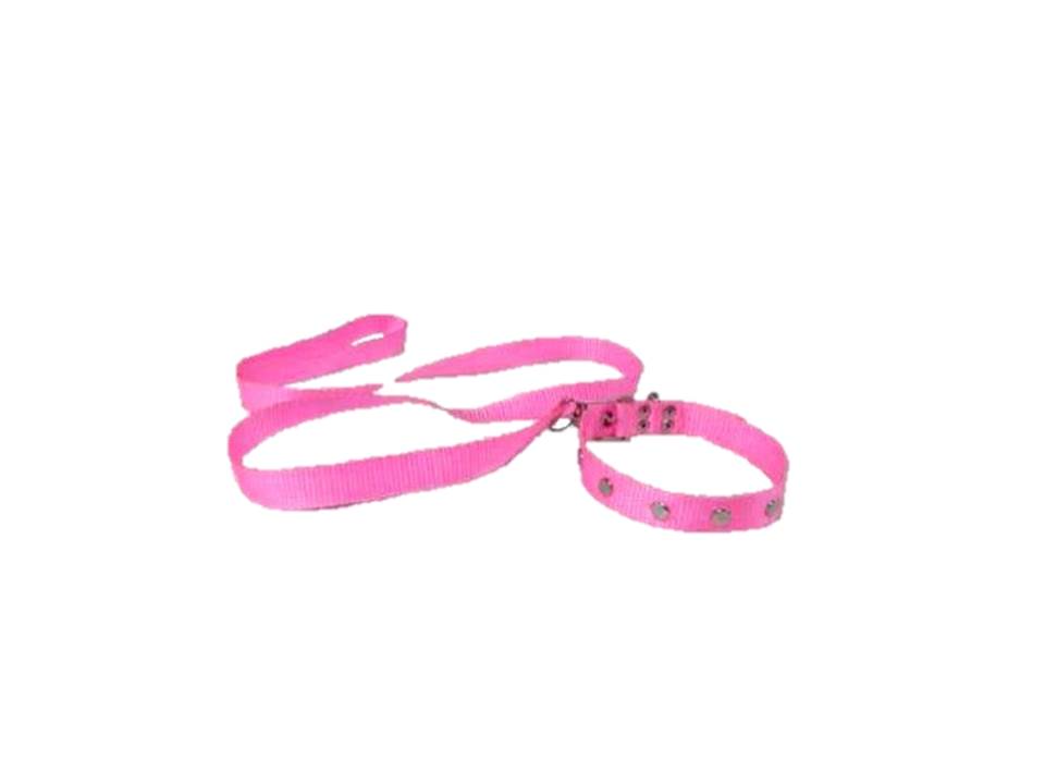 COLLAR Y PASEADOR #2 ROSADO ECONOMICO