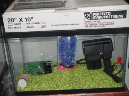 KIT PECERA 10GLS TAPA FLUORECENTE