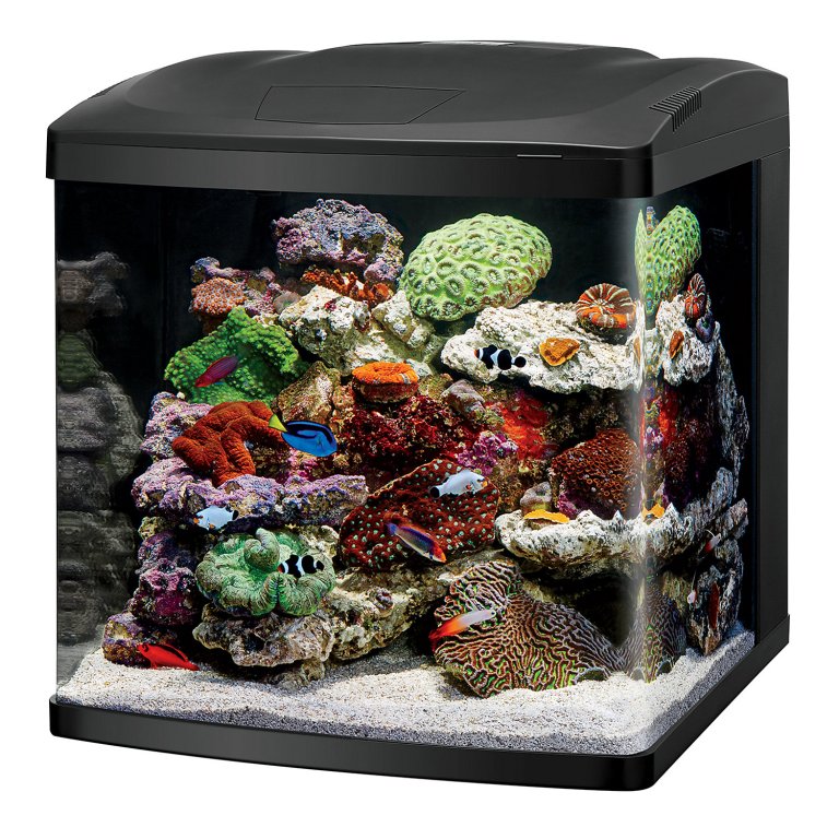 KIT PECERA BIOCUBE 32 LED CORALIFE