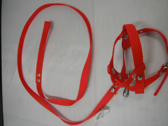 PECHERA Y PASEADOR #1 ROJA ECONOMICA
