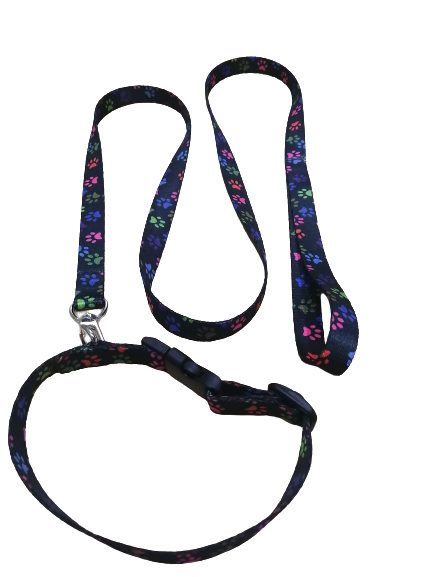PASEADOR Y COLLAR ECO S HUELLAS AJUSTABLE