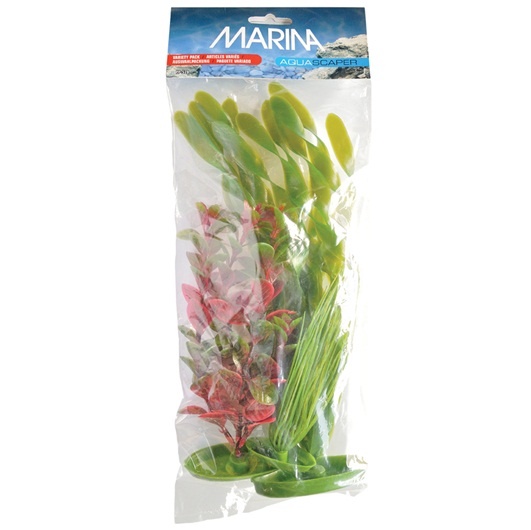 PLANTA DE ACUARIO 3/1 S,M,L