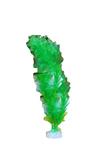 PLANTA DE ACUARIO C/BASE LARGE 12" 10/1