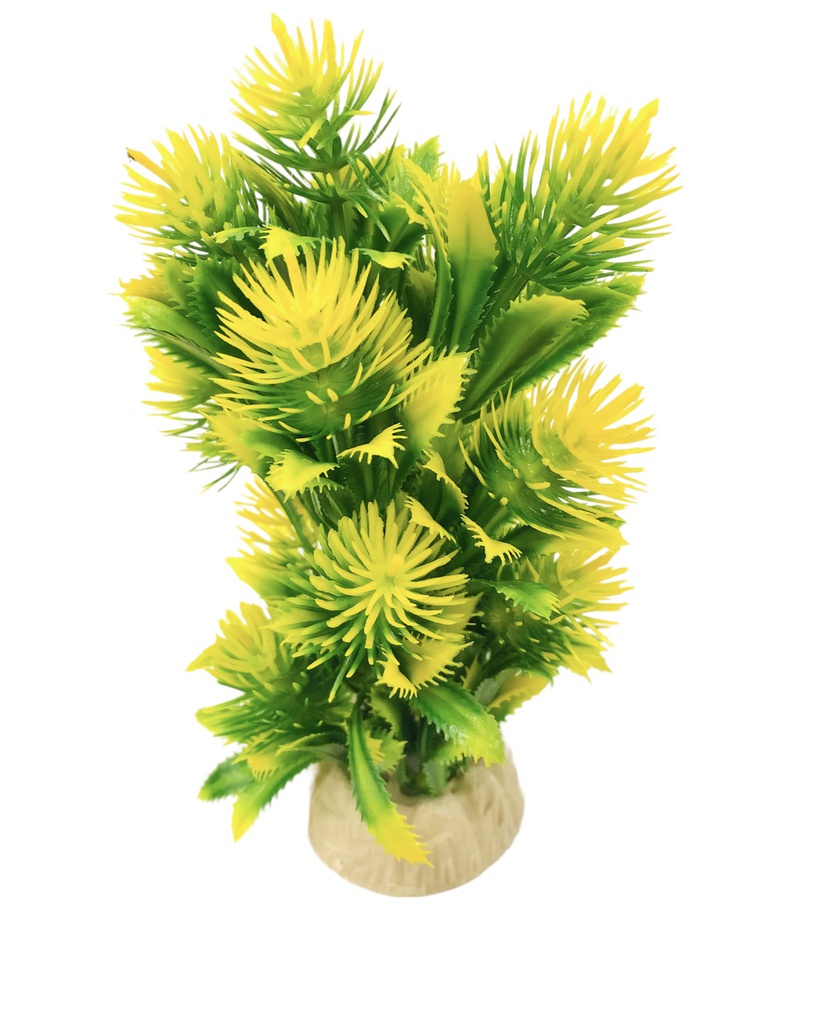 PLANTA DE ACUARIO C/BASE MEDIUM 8" 5/1