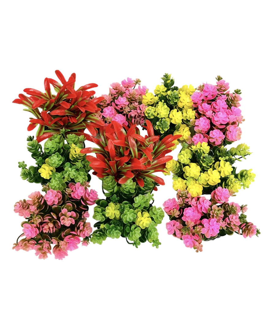 PLANTA DE ACUARIO C/BASE SMALL 3" 8/1