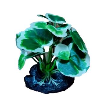 PLANTA DE ACUARIO C/BASE SMALL 4"