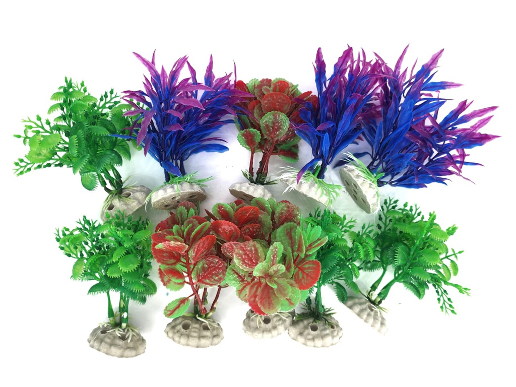 PLANTA DE ACUARIO C/BASE SMALL 4" 10/1