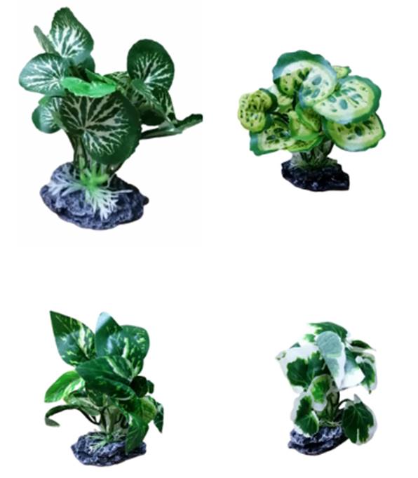 PLANTA DE ACUARIO C/BASE SMALL 4" 4/1