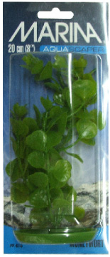 XPLANTA DE ACUARIO MEDIUM MONEYWORT