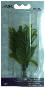 XXPLANTA DE ACUARIO MINI HYGROPHILA VENTOSA