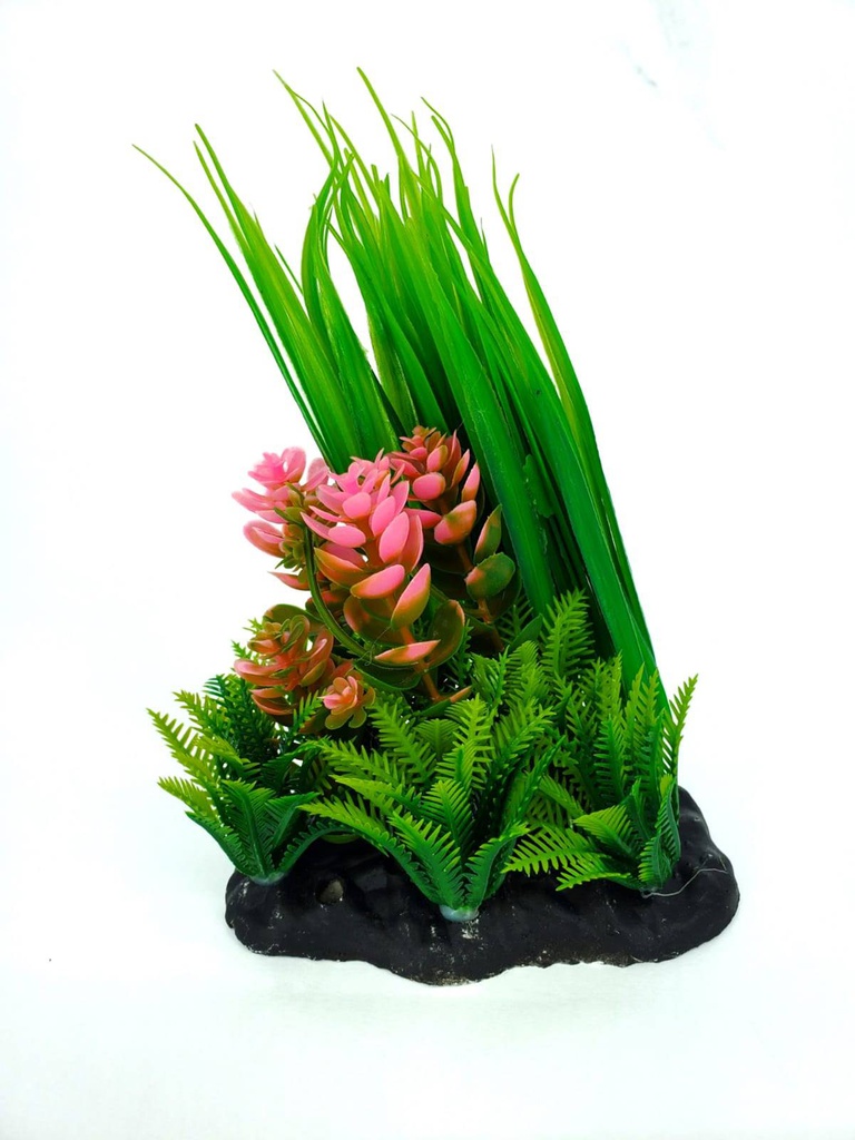 PLANTA DE ACUARIO C/BASE DUO MEDIUM 6.5"