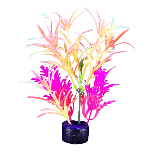 PLANTA DE ACUARIO MEDIUM NEON 7.5"