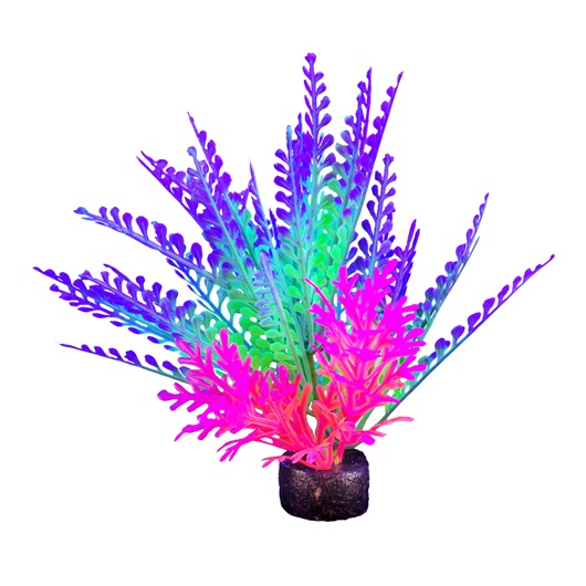 PLANTA DE ACUARIO SMALL NEON 5.5"
