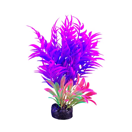 PLANTA DE ACUARIO SMALL NEON 5.5"