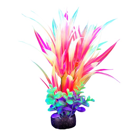 PLANTA DE ACUARIO SMALL NEON 5.5"