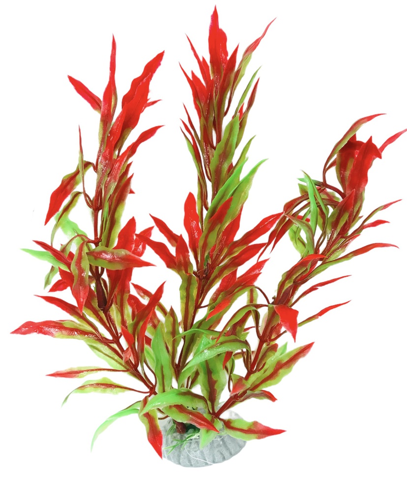PLANTA DE ACUARIO C/BASE MEDIUM 8" 10/1