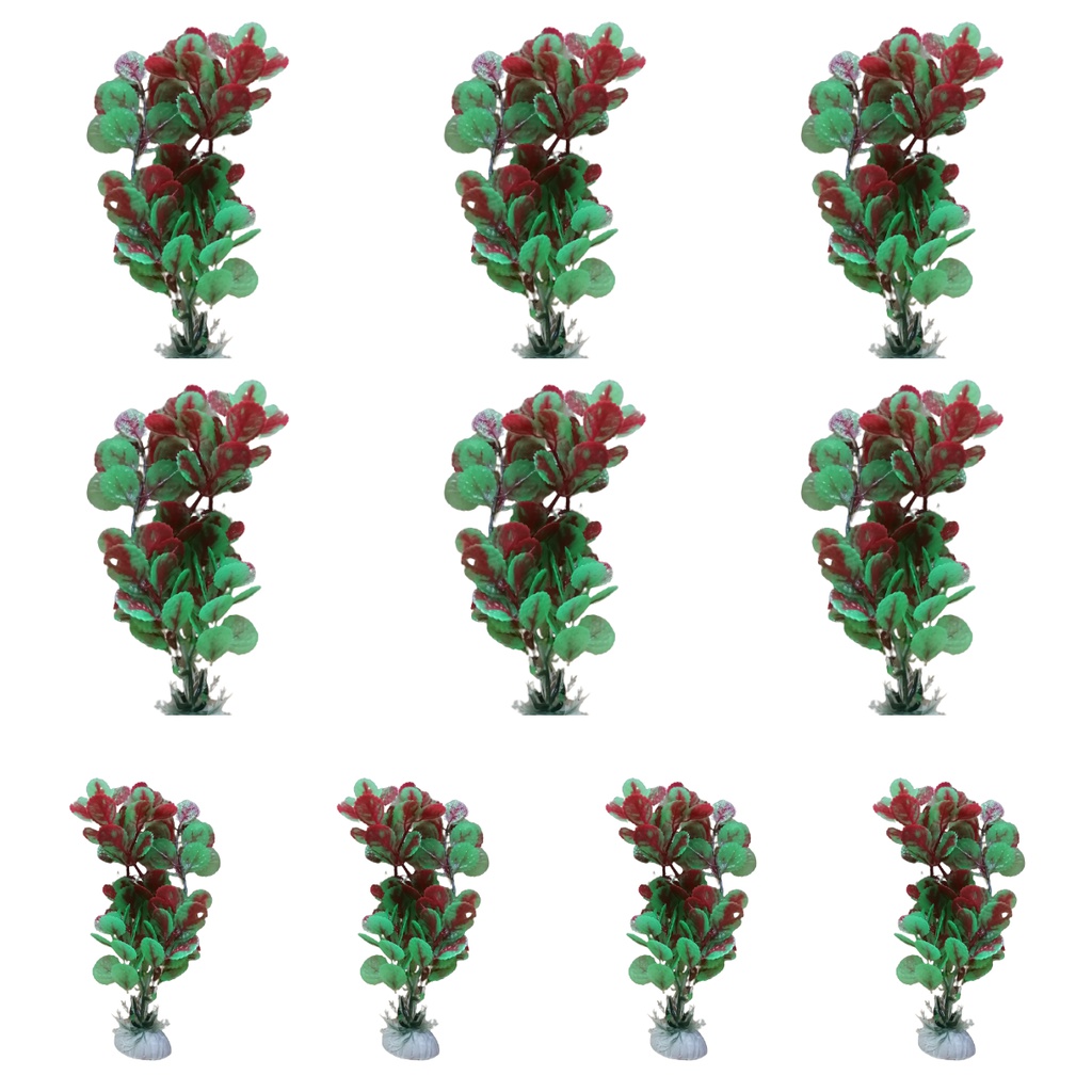 PLANTA DE ACUARIO C/BASE MEDIUM 8" 10/1