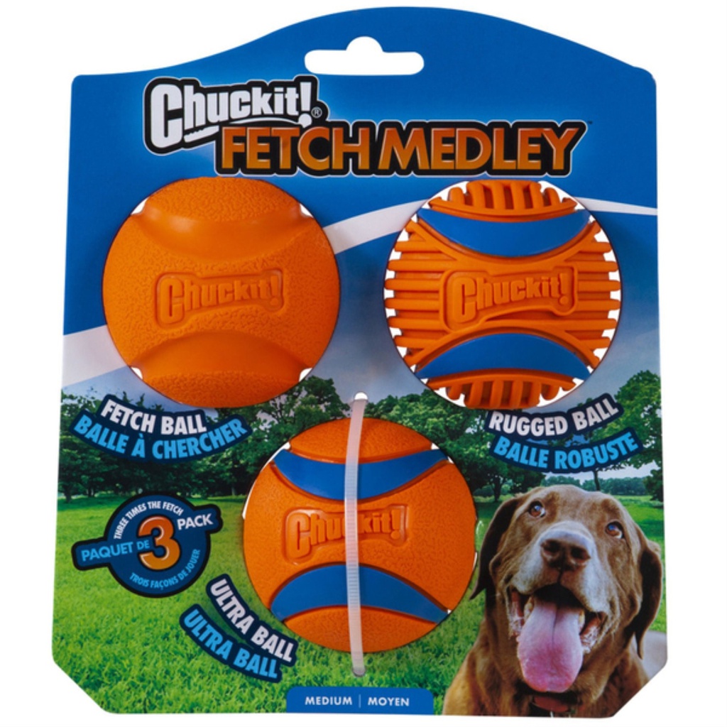 JUGUETE PERRO PELOTA DE GOMA MEDIUM 3/1