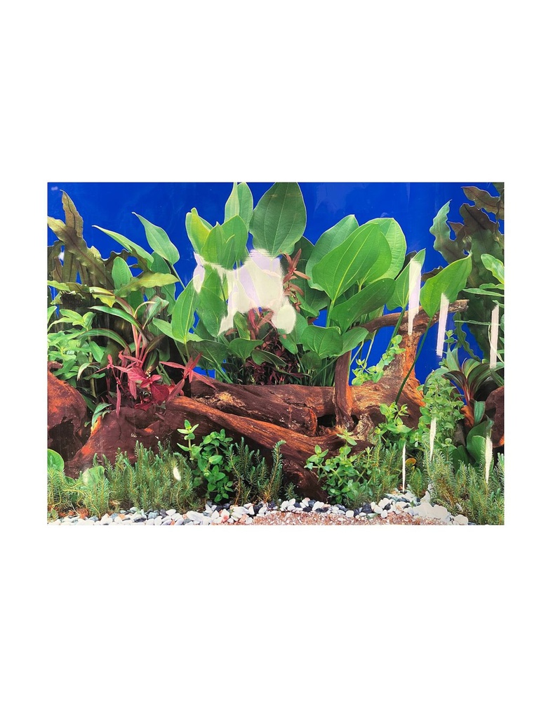 PANORAMA 24"X50'