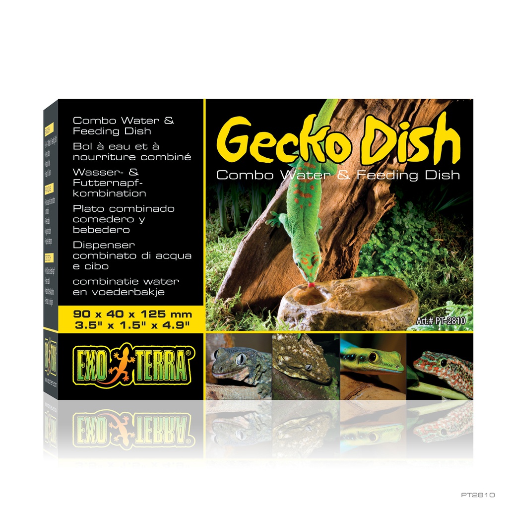 ACCESORIO EXOTERRA GECKO DISH COMBO