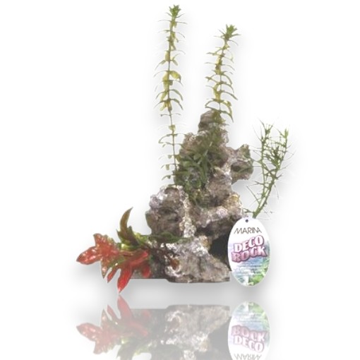 [12066] ADORNO ACUARIO RESINA ROCA SMALL C/PLANTA 4"