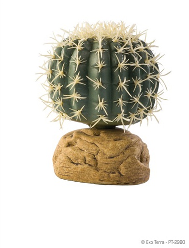 [PT-2980] ADORNO TERRARIO BARREL CACTUS 3"