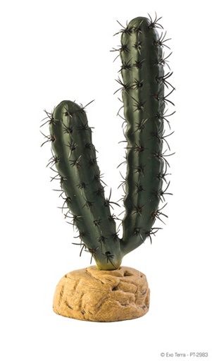 [PT-2983] ADORNO TERRARIO FINGER CACTUS 7"