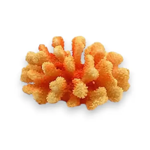 [1488E] ADORNO ACUARIO RESINA CORAL MEDIUM