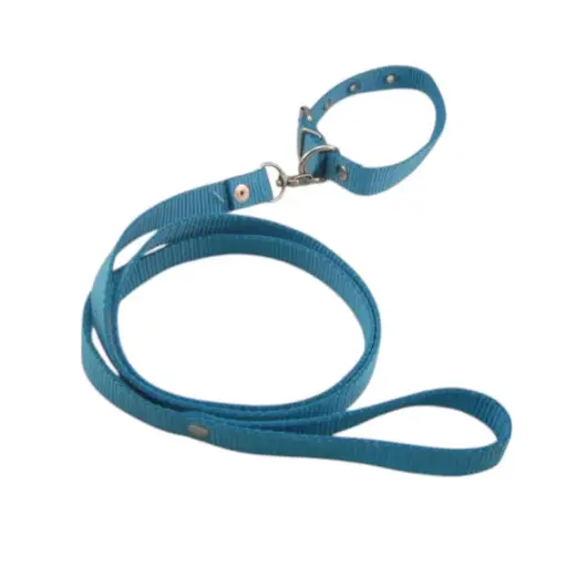 [COLLAR-16-A] COLLAR Y PASEADOR #16 AZUL ECONOMICO