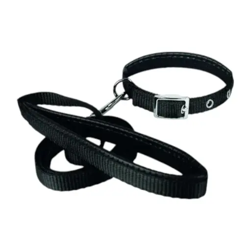 [COLLAR-16-N] COLLAR Y PASEADOR #16 NEGRO ECONOMICO