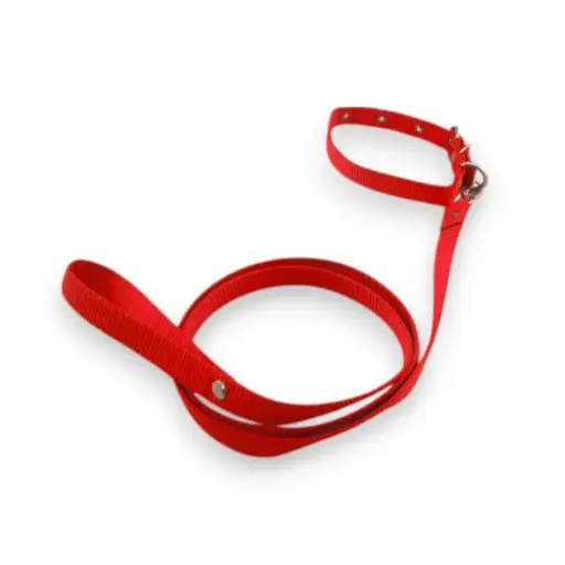 [COLLAR-16-R] COLLAR Y PASEADOR #16 ROJO ECONOMICO