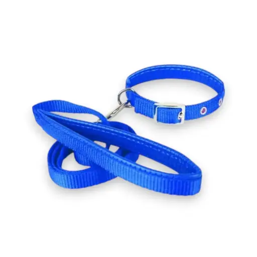 [COLLAR-2-A] COLLAR Y PASEADOR #2 AZUL ECONOMICO