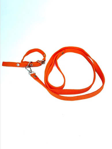 [COLLAR-3-M] COLLAR Y PASEADOR #3 NARANJA ECONOMICOD