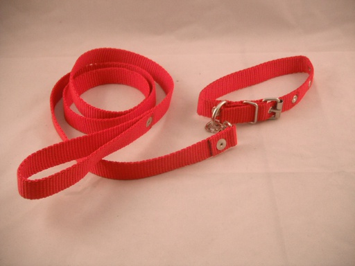 [COLLAR-3-R] COLLAR Y PASEADOR #3 ROJO ECONOMICO
