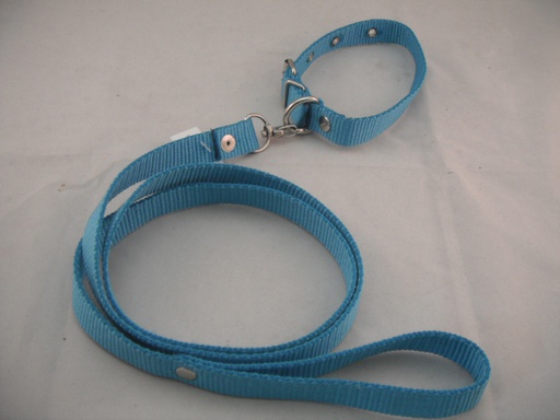 [COLLAR-4-A] COLLAR Y PASEADOR #4 AZUL ECONOMICO
