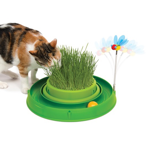 [43002] JUGUETE GATO CIRCUITO PELOTA Y GRAMA