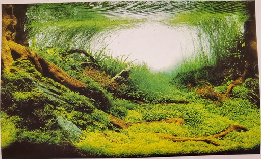 PANORAMA 12"X25