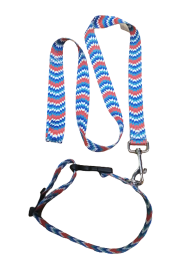 [C-735] PASEADOR Y COLLAR ECO M ESTANPADO AZUL AJUSTABLE