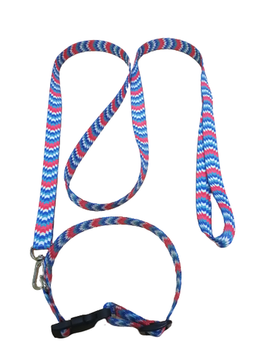 [C-729] PASEADOR Y COLLAR ECO S ESTANPADO AZUL AJUSTABLE