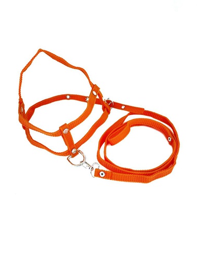 [PECHERA-4-M] PECHERA Y PASEADOR #4 NARANJA ECONOMICA