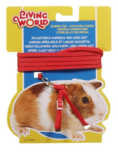 [60840] PECHERA Y PASEADOR P/GUINEA PIG
