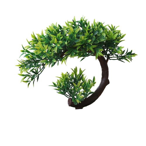 [K-31D] PLANTA DE ACUARIO BONSAI 8"X4"X7"