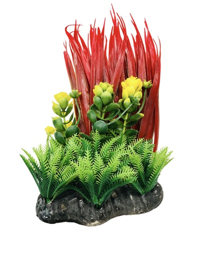 [PP-25A7] PLANTA DE ACUARIO C/BASE DUO MEDIUM 6.5"