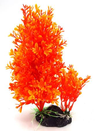 [PP-04D8] PLANTA DE ACUARIO C/BASE DUO MEDIUM 8"