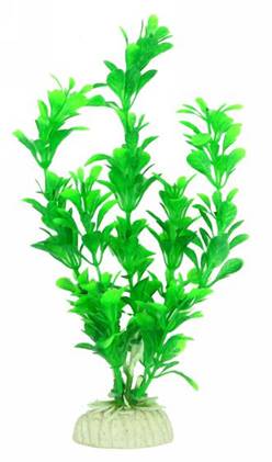 [PP-17B8] PLANTA DE ACUARIO C/BASE MEDIUM 8" 10/1